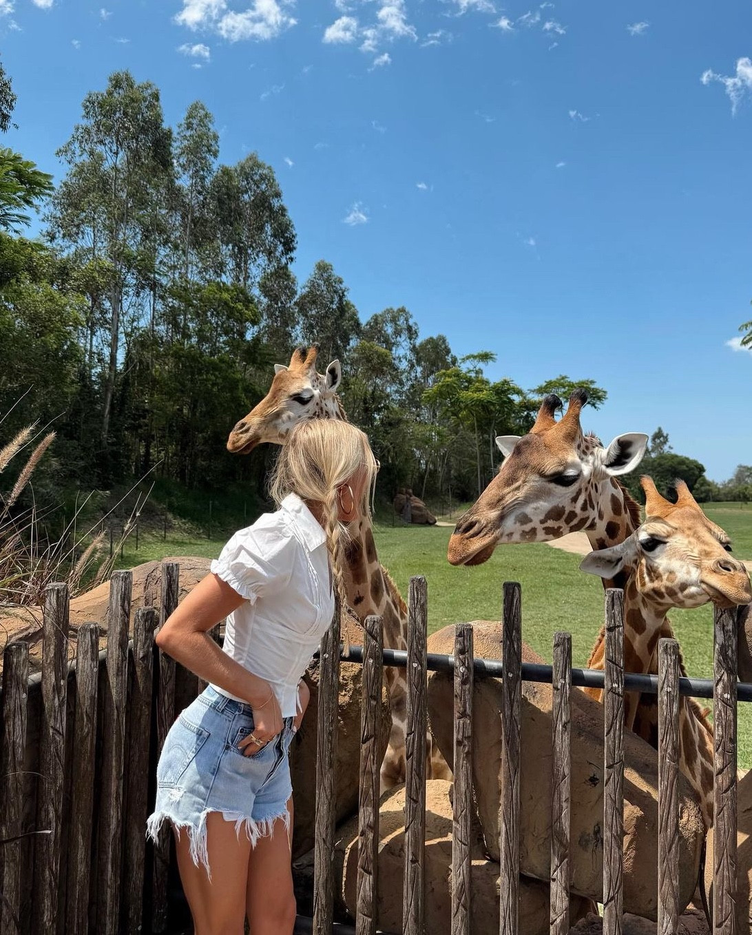 I love it here 🇦🇺🦘🐨🦒🤍

#LTKTravel #LTKStyleTip