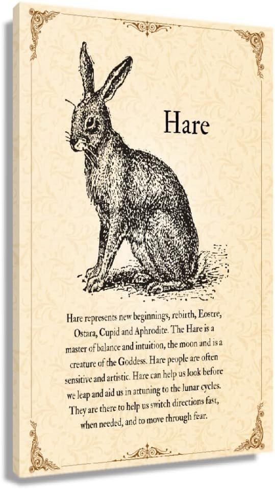 Hare Quotes Wall Art Knowledge Poster Vintage Animal Wall Art Infographic Poster Prints Modern Ho... | Amazon (US)