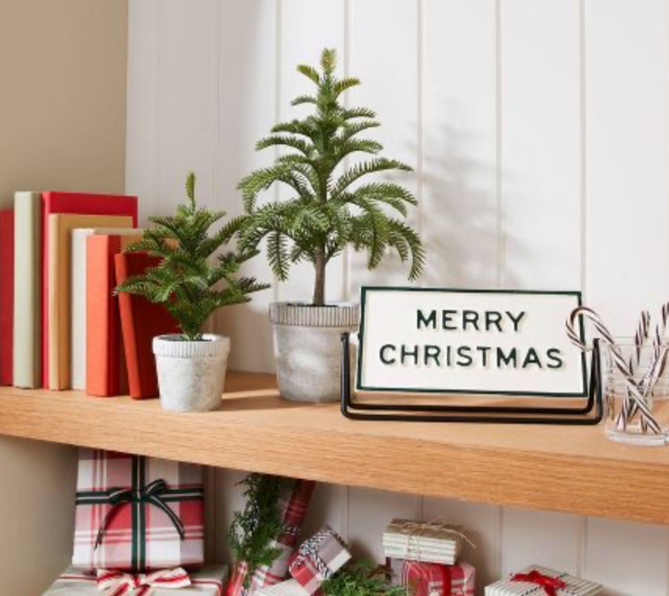 Hearth & Hand with Magnolia Christmas collection at Target 🎅🏼🎄

#LTKunder50 #LTKHoliday #LTKhome