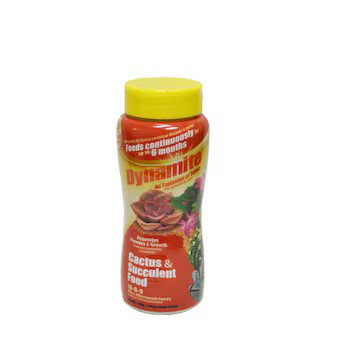 Dynamite 1-lb 18-6-8 Succulent Plant Food | Lowe's