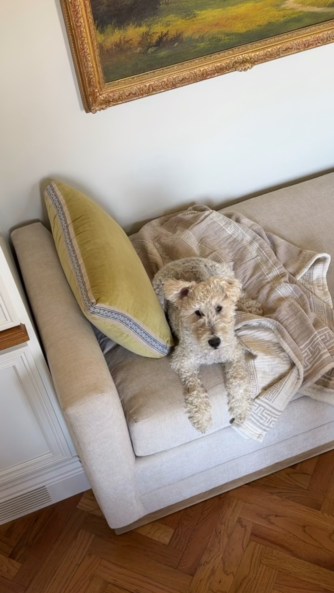My latest budget Target find… This reversible blanket! ￼

#LTKHome