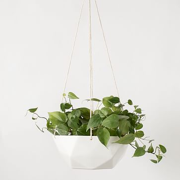 Convivial 2V Hanging Planter | West Elm (US)