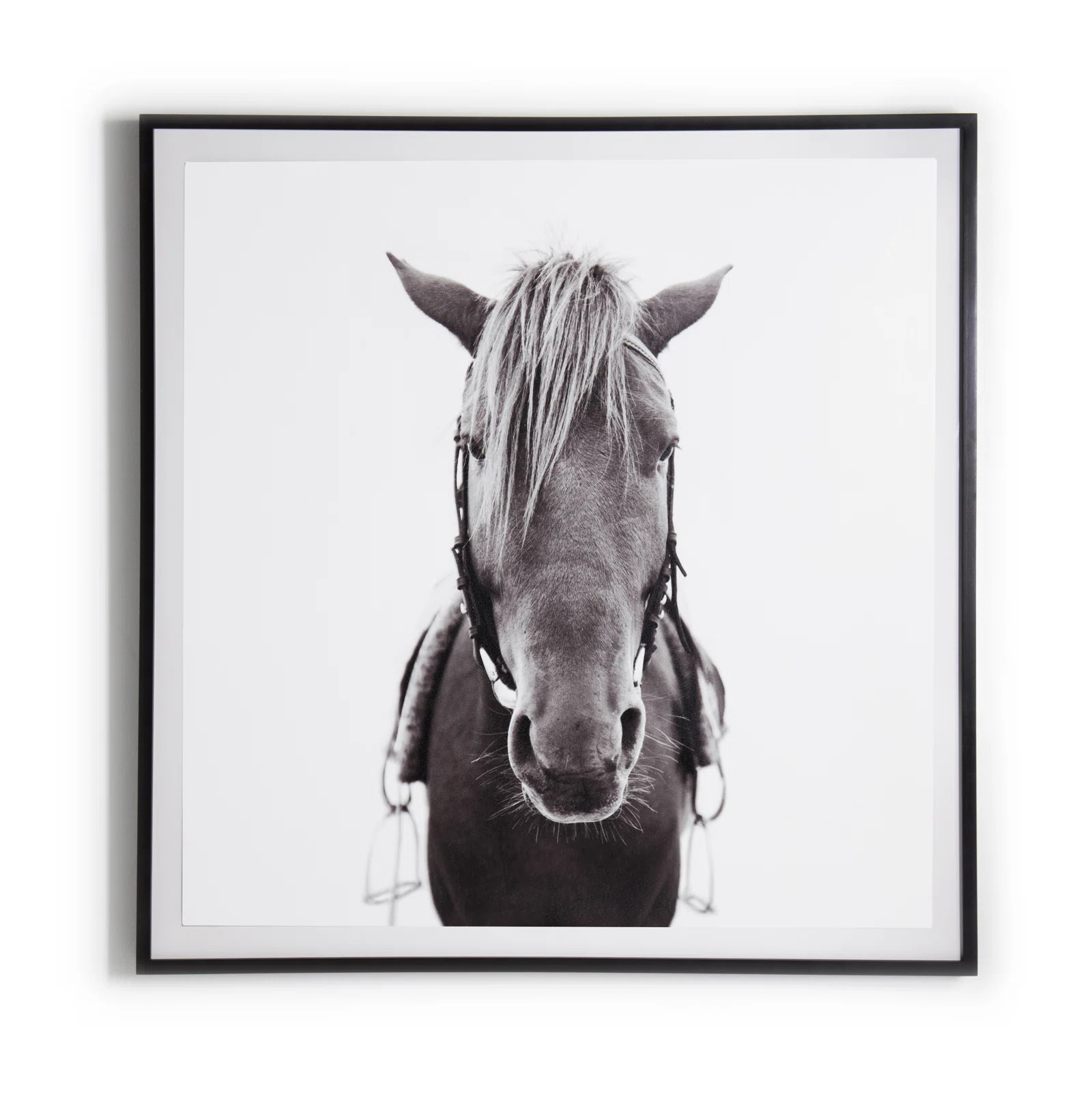 Horse-Photo, Black Mpl Print by Fh Art Studio | Perigold