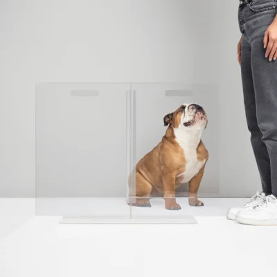 Low View Panel Freestanding Pet Gate | Wayfair North America