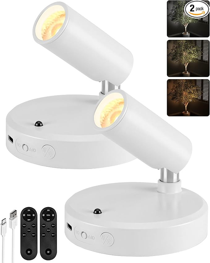EZVALO Spot Lights Indoor, 5500mAh Rechargeable Picture Lights with Remote, Wireless Mini Art Acc... | Amazon (US)