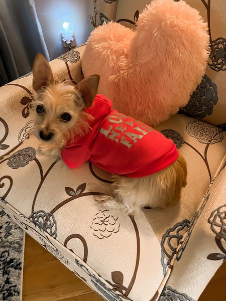 Zoey in her pink Valentine’s Day hoodie on deal for $7.99 - dog clothes - dog products - pet products - printed recliner - heart pillow - Valentine’s Day decor - Amazon pets - Amazon home - Amazon deals - Amazon finds 


#LTKSeasonal #LTKhome #LTKsalealert