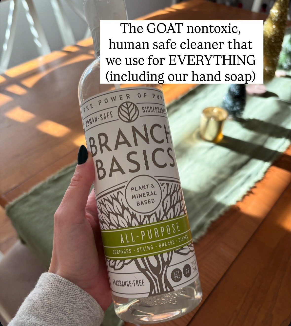 The BEST nontoxic and human sale cleaner for EVERYTHING on sale

#LTKSaleAlert