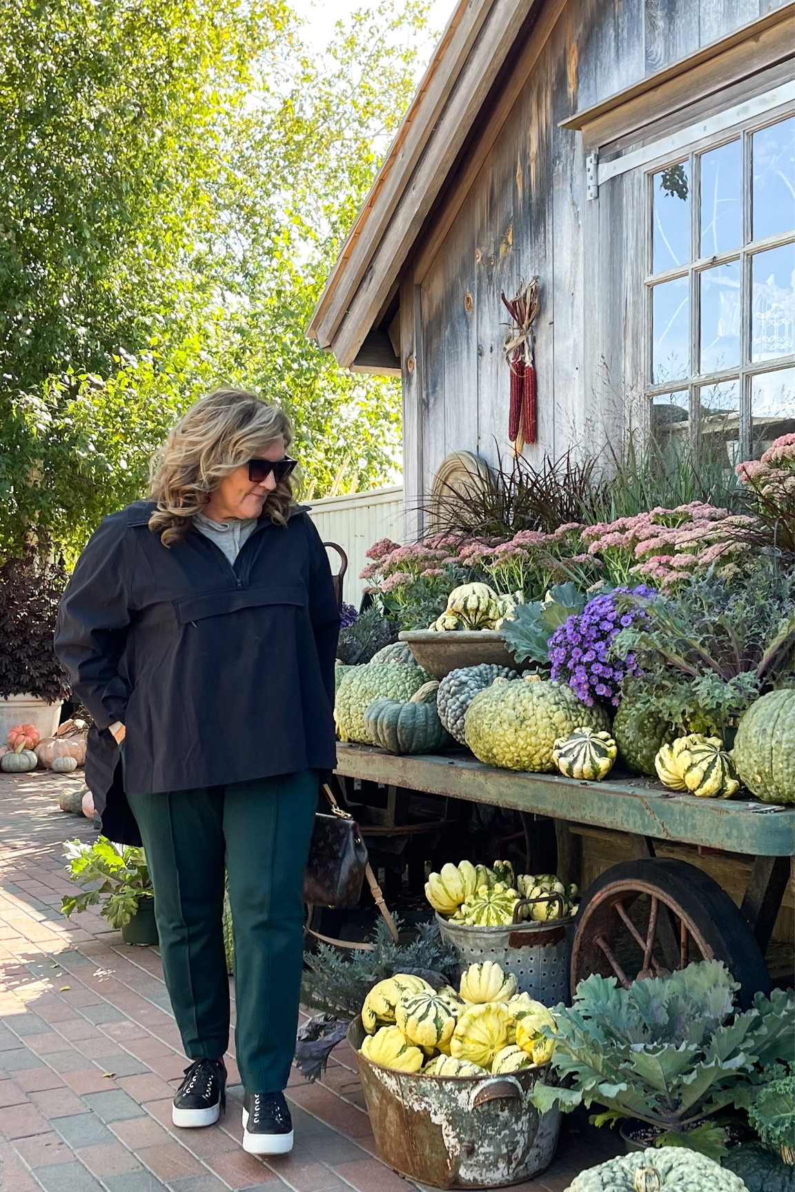 Casual fall afternoon look for all your outdoor adventures. 

Pullover runs big. I stayed with a L so I could layer a heavier sweater when I went to Scotland. 

Pants tts. 

Use code NAN10 for 10% off your sneakers  

#LTKsalealert #LTKSeasonal #LTKshoecrush