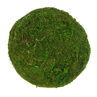 6" Green Moss Decorative Ball by Ashland®Item # 10732183(6)4.8 Out Of 56 Ratings5 Star54 Star13... | Michaels Stores