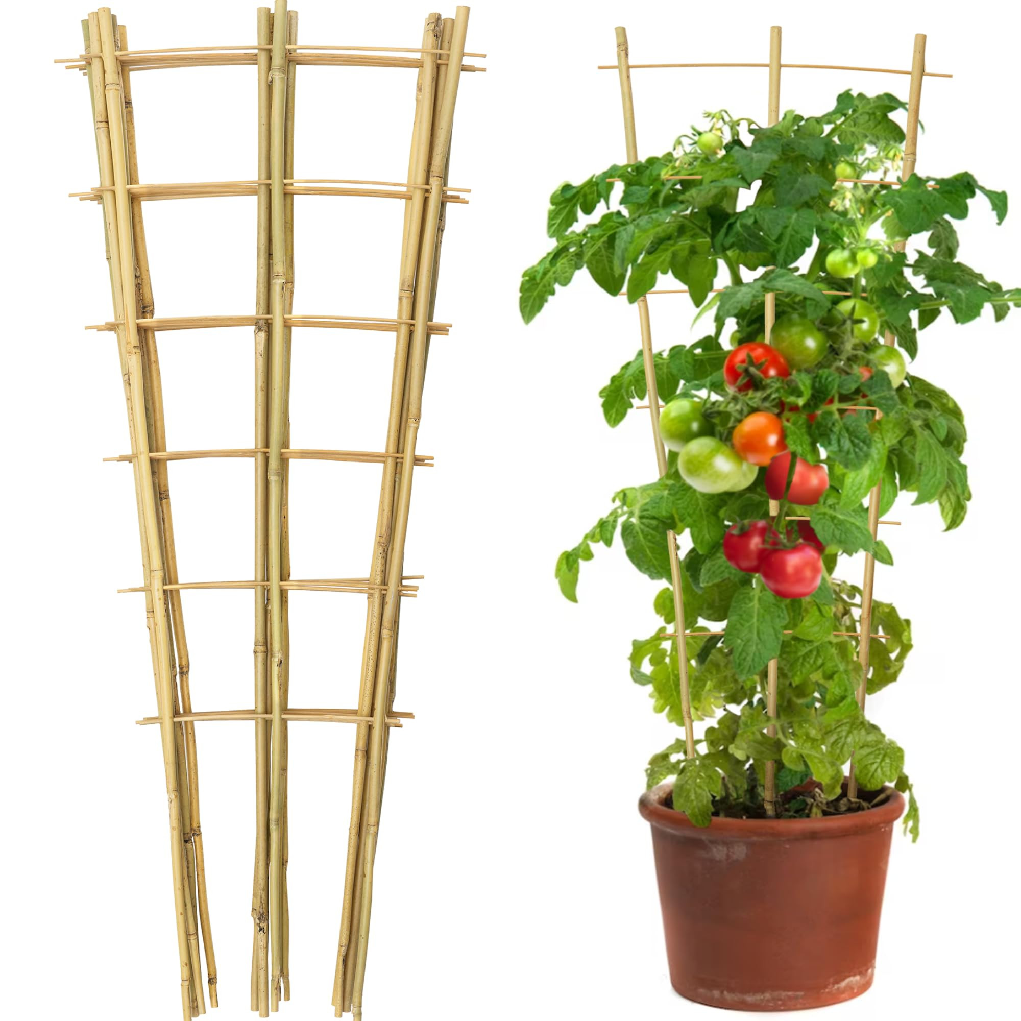 10 Pack 3 Feet Natural Bamboo Trellis, Fan-Shaped Bamboo Plant Trellis for Climbing Plants, Veget... | Amazon (US)