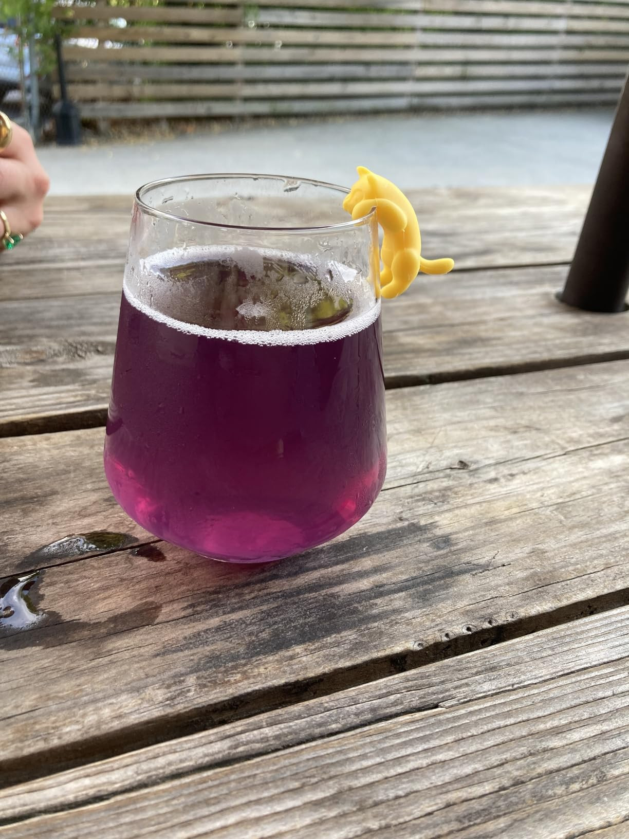 True Zoo Wine Charms | Amazon (US)