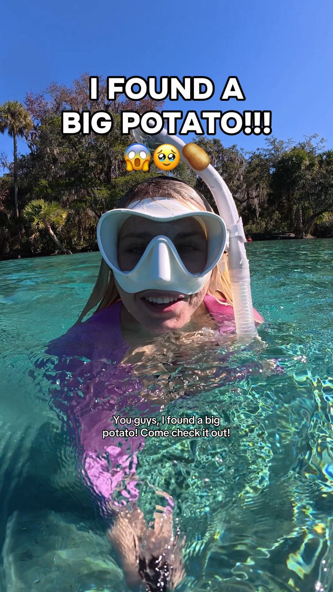 What would you do if a big potato came up to you like this?!😱🥹🫶 

Reminder it is illegal to touch or harass manatees in Florida.

#manatee #diving #ocean #florida #marinelife

#LTKActive