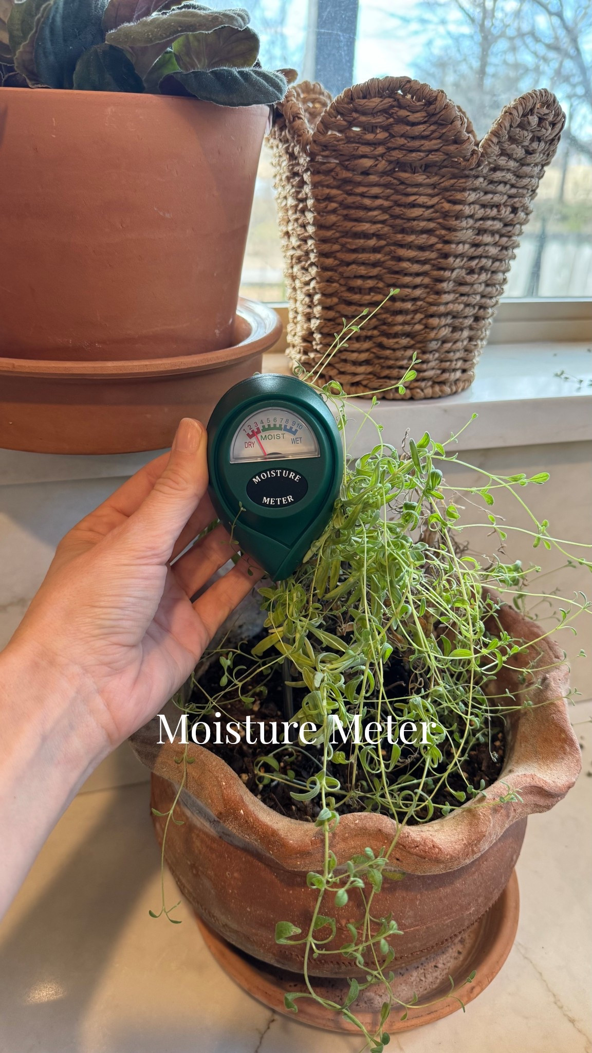 I needed this!! It helps me know which plants need more or less water so I don’t “over love” them🤭 

Plant water meter
Watering your plants
Indoor plant
Outdoor garden
Seedlings
Seeds