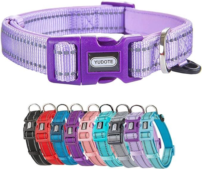 Reflective Nylon Padded Dog Collar Adjustable Soft Pet Collars with Quick Release Buckle for Smal... | Amazon (US)