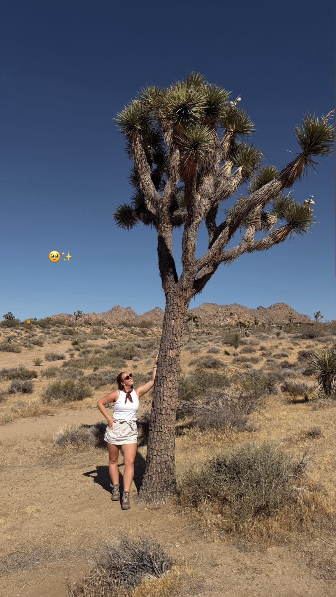 Hiking Travel Outfit of the Day 🥾🏜️ Size 8/10 | M\L | 5’4”