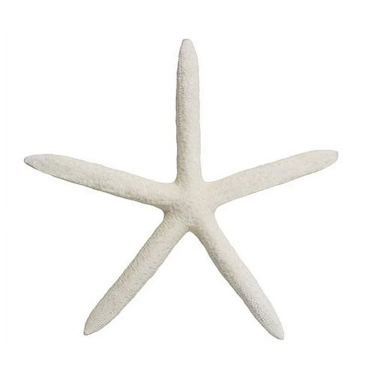 White Starfish Shell Beach Decor, 1 Piece Per Purchase, Styles Vary - Walmart.com | Walmart (US)