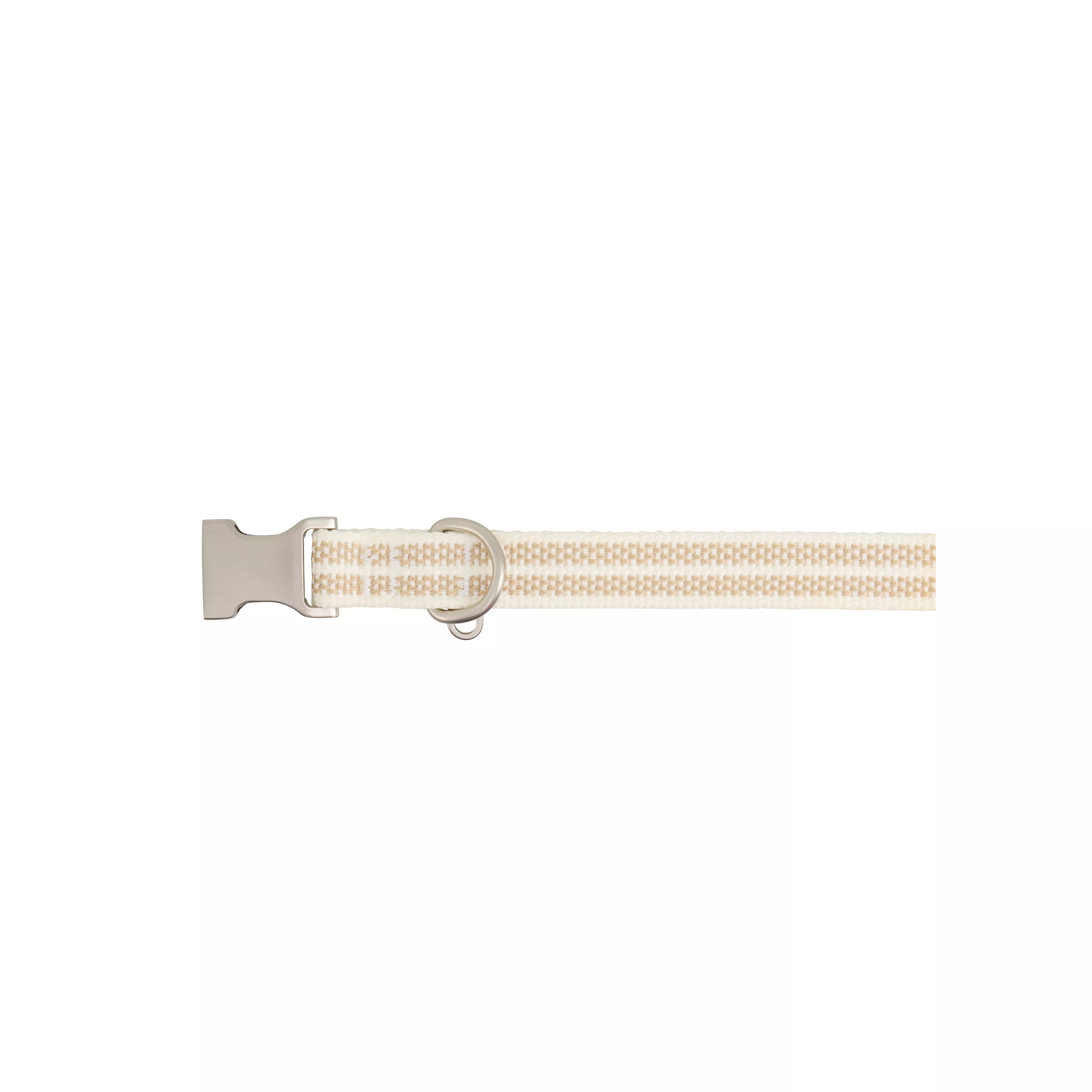 Top Paw® Woven Fashion Dog Collar | PetSmart