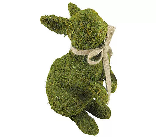 Make Your Selection: Northlight Green Moss Standing Rabbit Spring Ea ster Figure | QVC