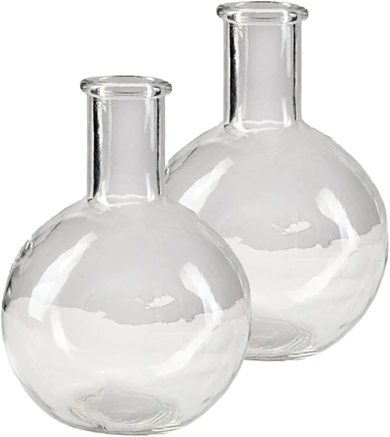 Serene Spaces Living Set of 2 Clear Bottleneck Bulb Glass Vase, Vintage Round Flower Vase for Con... | Amazon (US)