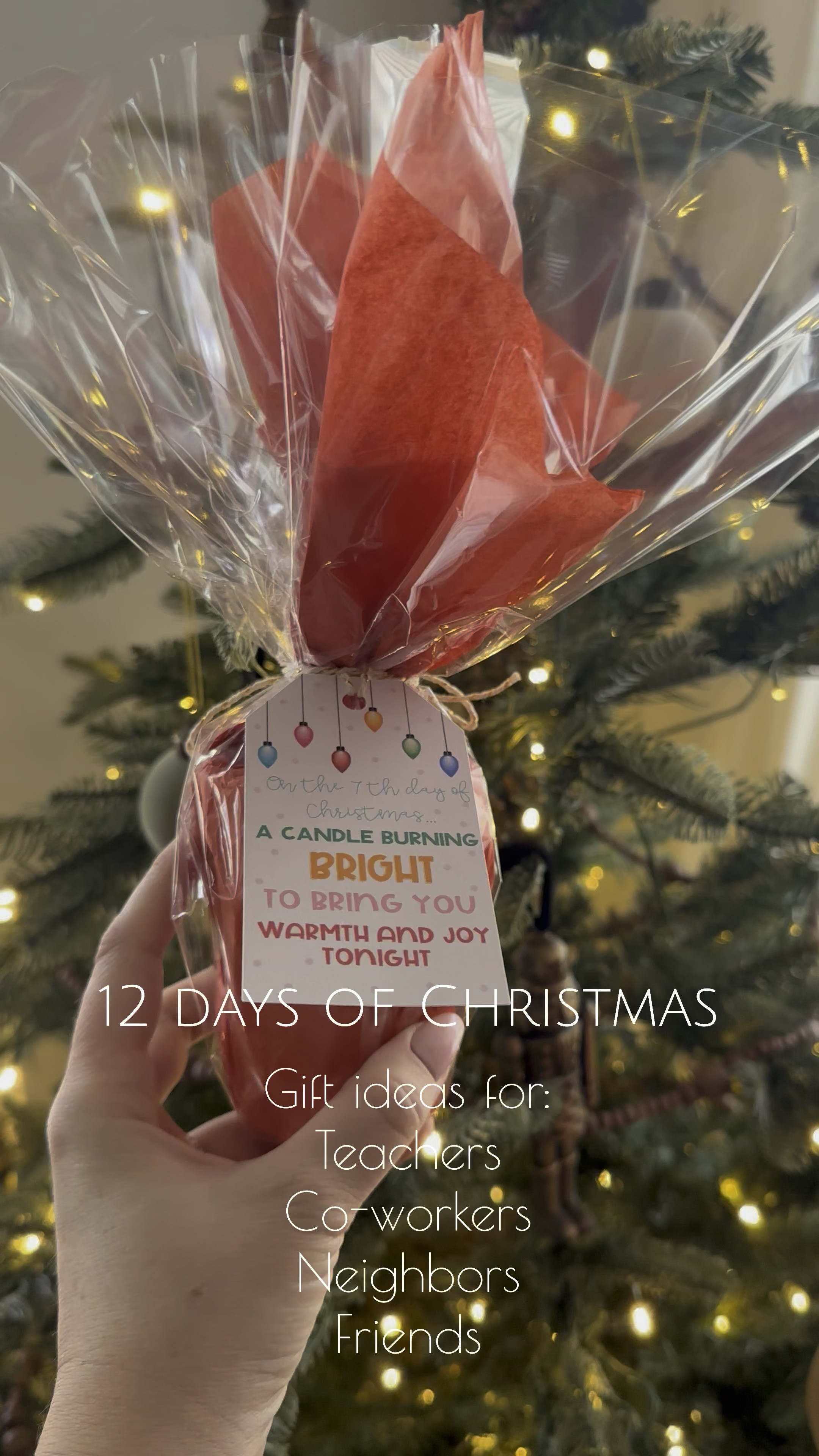 12 days of Christmas teacher/coworker gifts 

#LTKHoliday #LTKGiftGuide #LTKSeasonal