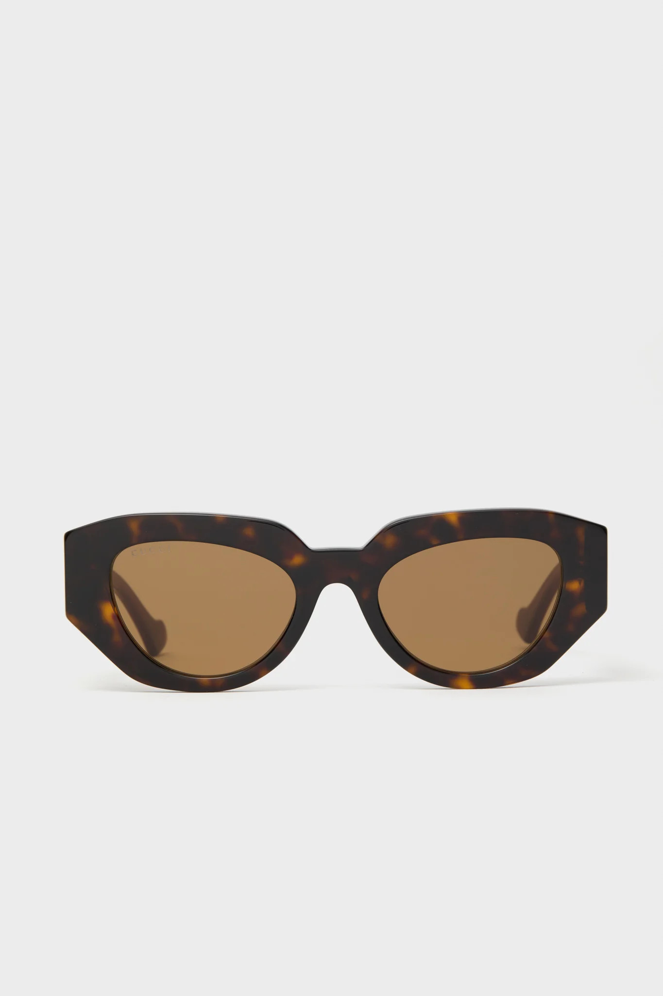Shiny Dark Havana Cat-Eye Gucci Generation Sunglasses | Tuckernuck (US)