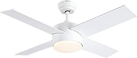 Ceiling Fan with Lights and Remote Control,SNJ Modern Ceiling Fan for Living Room Bedroom Dining ... | Amazon (US)