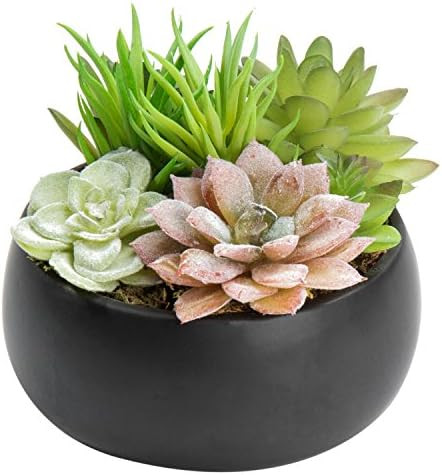 MyGift Mini Artificial Succulent Arrangement in Black Ceramic Planter Bowl (Assortment 3) | Amazon (US)
