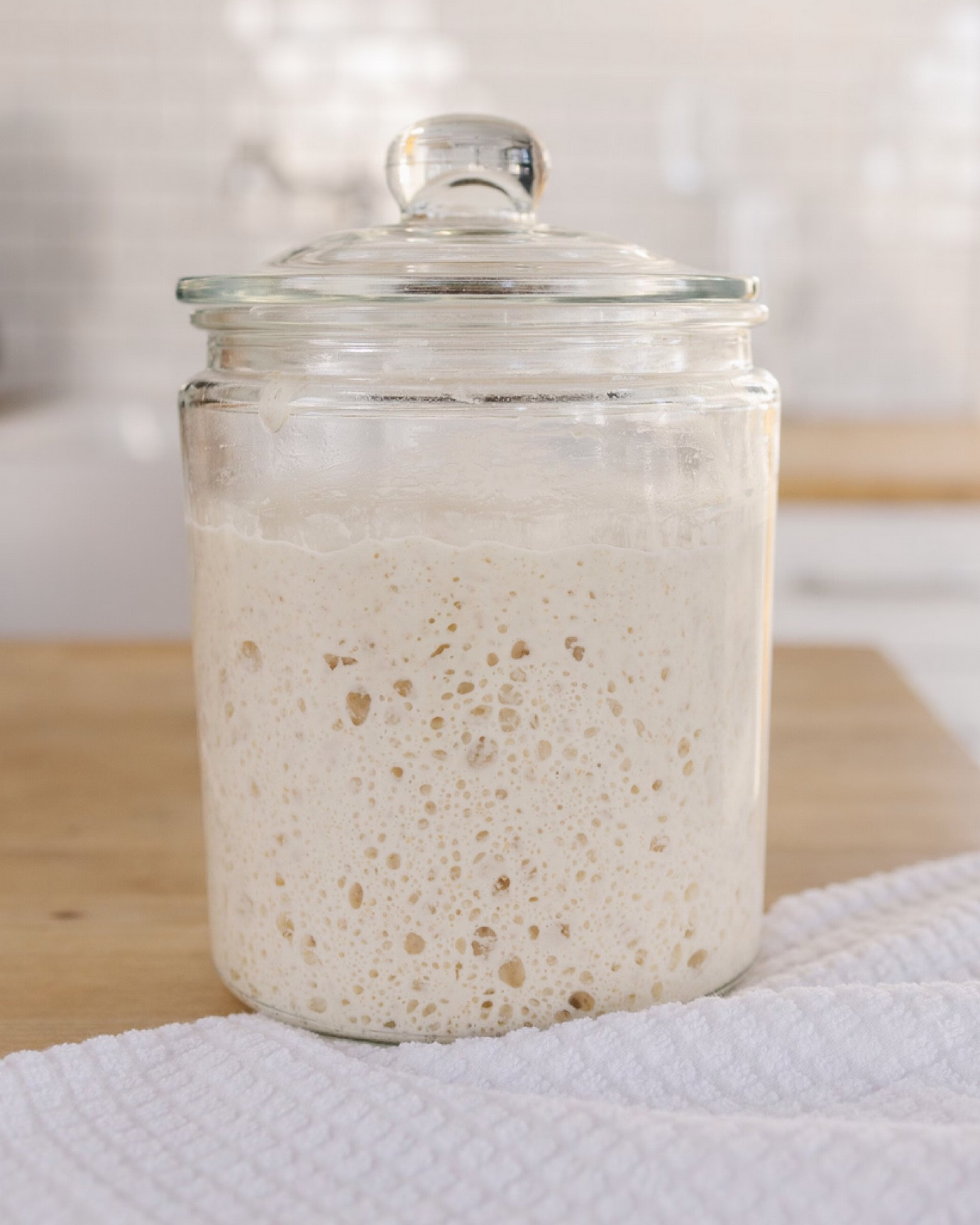 Fresh Sourdough Starter to make sourdough bread. I also linked my essentials to make sourdough bread. 

#LTKFamily #LTKFindsUnder100 #LTKHome