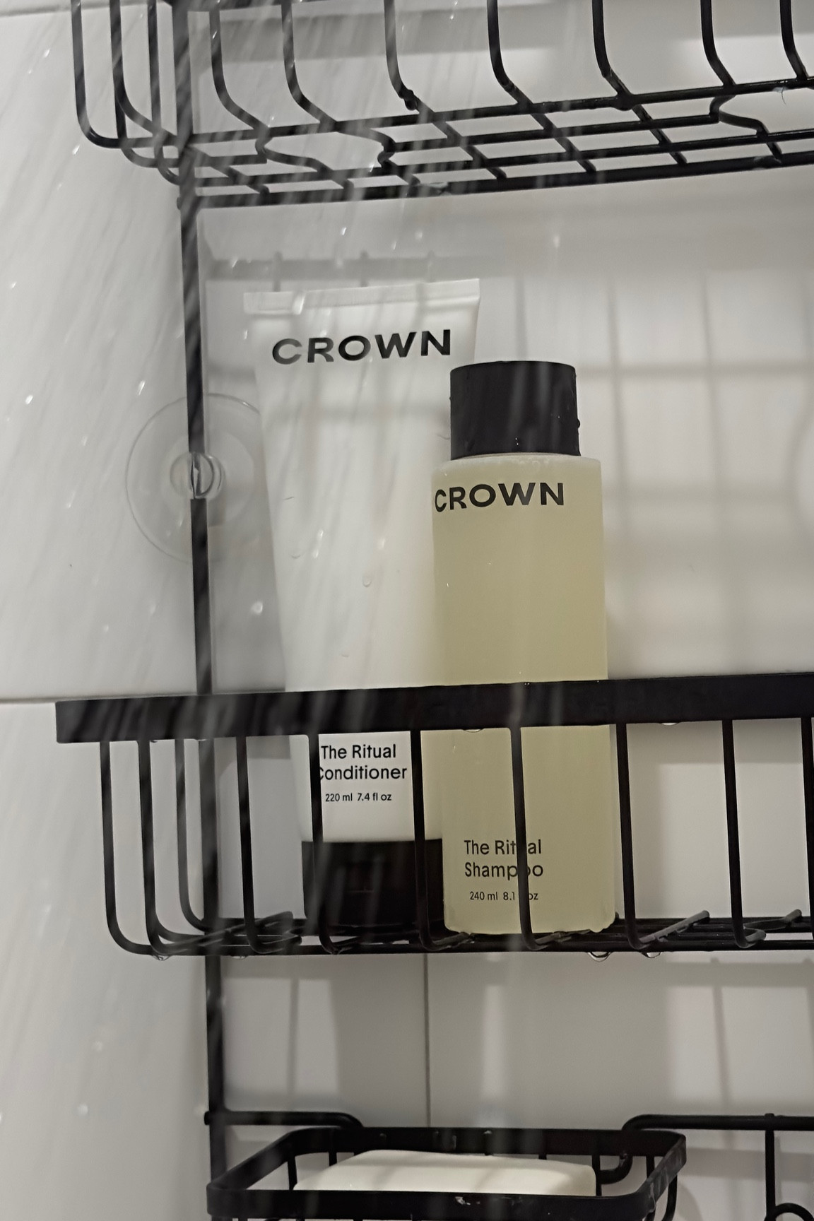 My Favorite Shampoo + Conditioner