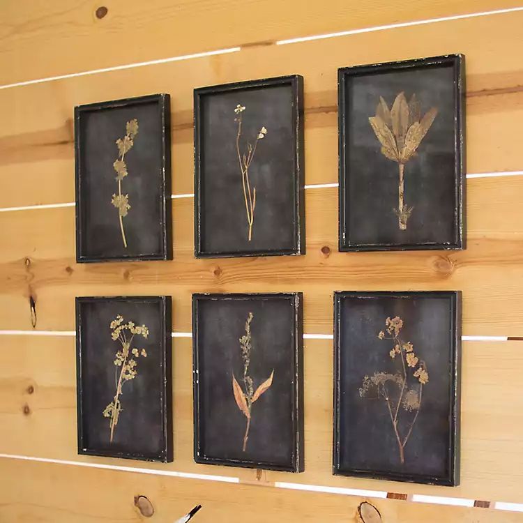 Black Botanical Framed Art Prints, Set of 6 | Kirkland's Home