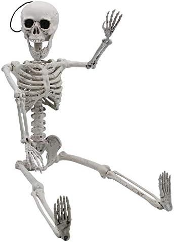 24” Halloween Decoration Pose-N-Stay Full Body Skeleton Plastic Bone with Posable Joints for Po... | Amazon (US)