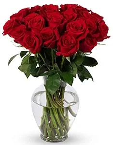Benchmark Bouquets 24 stem Red Roses, Next Day Prime Delivery, Farm Direct Fresh Cut Flowers, Gif... | Amazon (US)