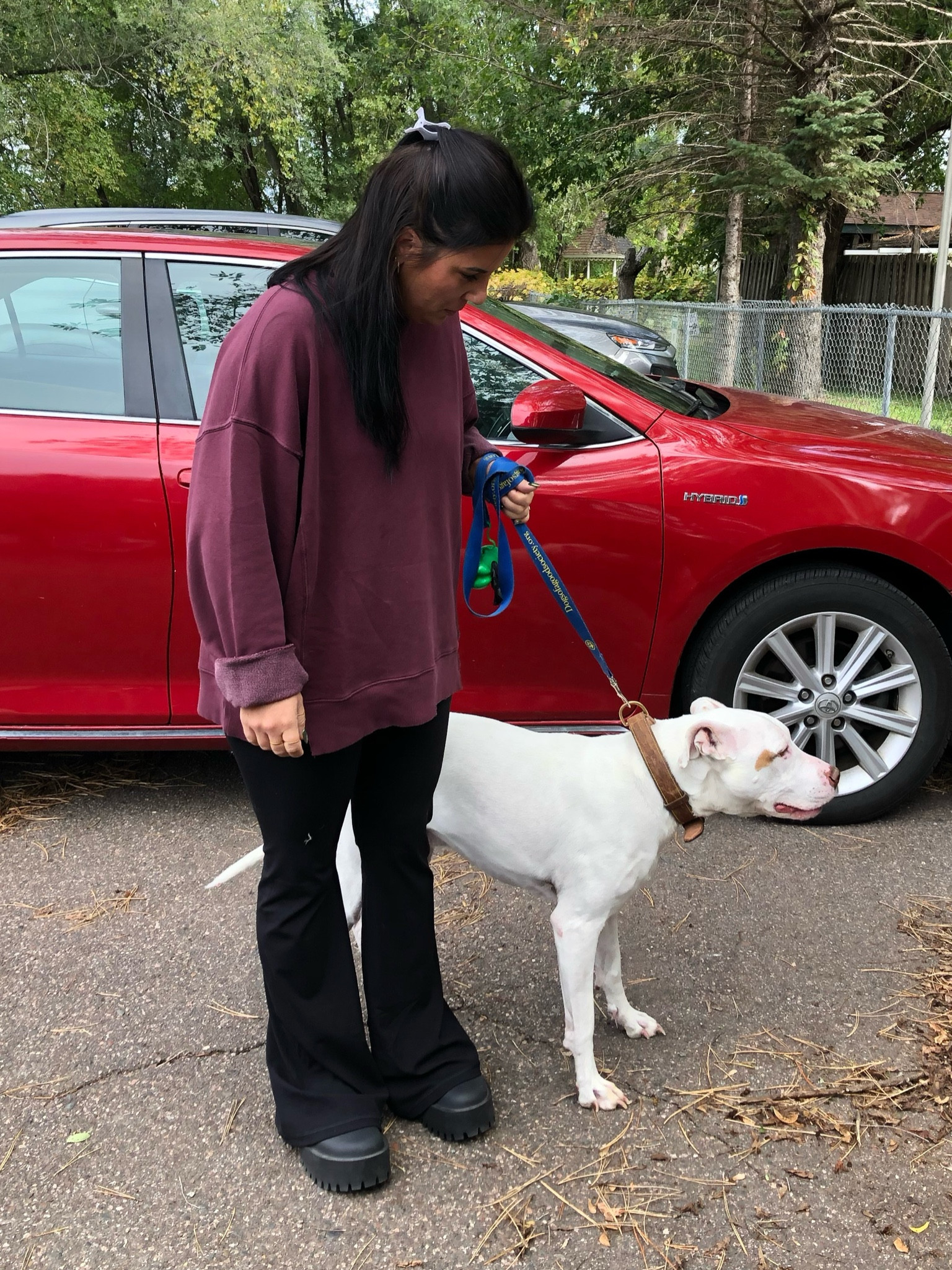 Sweater and yoga pants on sale 🖤

#LTKSpringSale