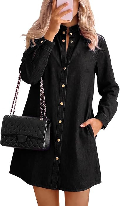 Mini,A Line,Side Pockets,Ruffled Collar,Button Cuffs,Casual,Fall Winter,Babydoll,Country Concert,... | Amazon (US)