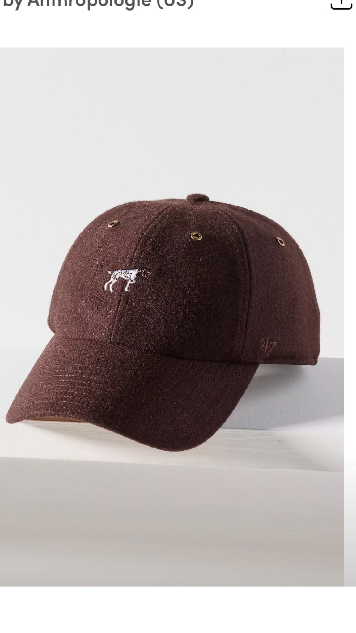 Rarely see a GSP hat! 