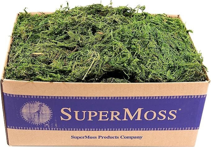 SuperMoss (25325) Forest Moss Preserved, Fresh Green, 3lbs | Amazon (US)