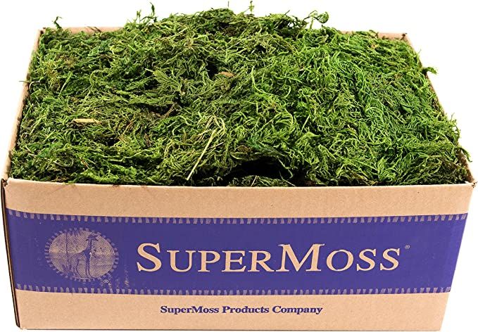 SuperMoss (25325) Forest Moss Preserved, Fresh Green, 3 Pounds | Amazon (US)
