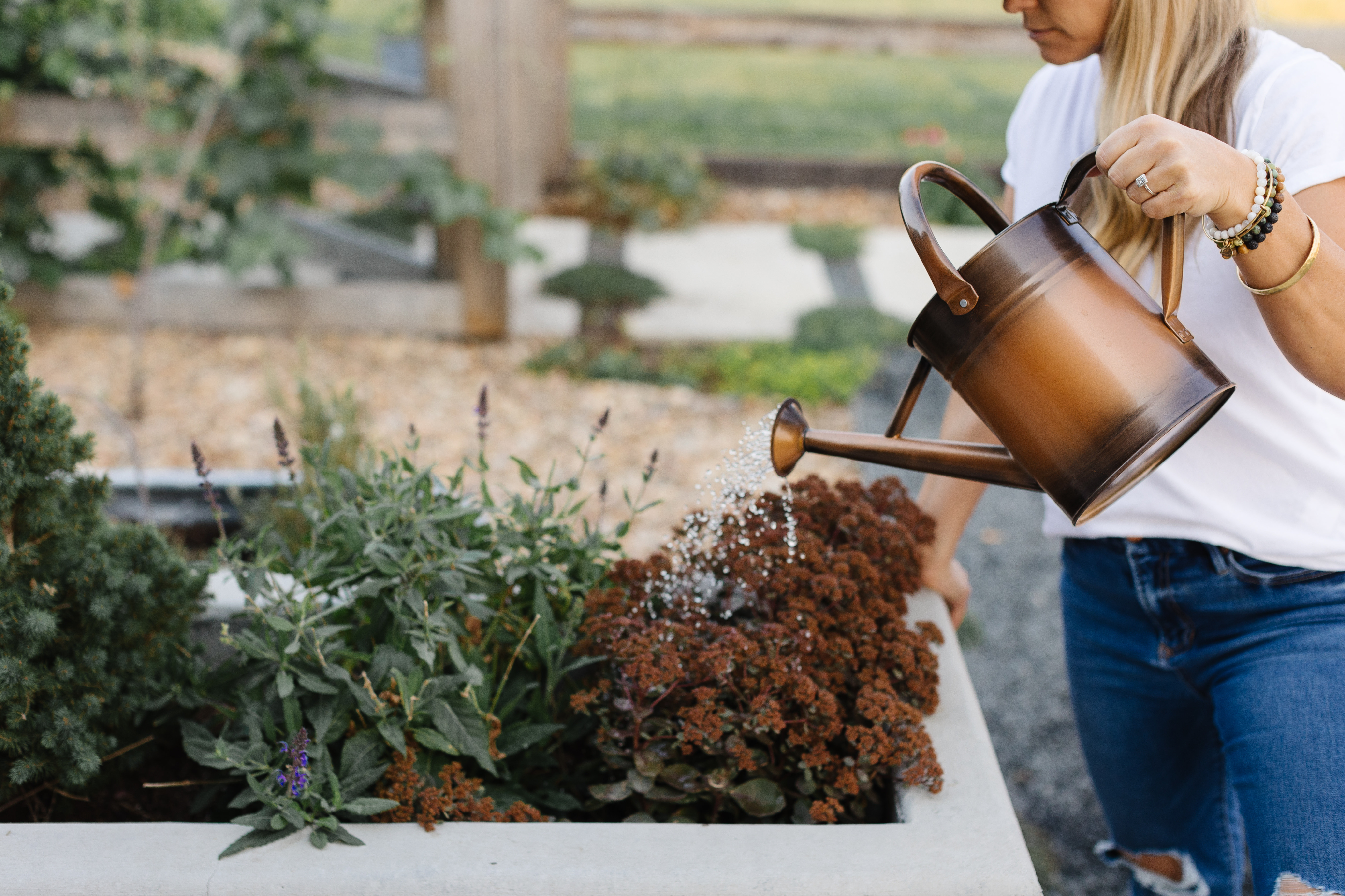 I always love copper accents in the garden, but ESPECIALLY in the fall.

You can set this pretty copper watering can on a table or even use it as a vase to display cut stems.

#fallgarden #gardendecor #copper 

 #LTKSeasonal #LTKHome #LTKFindsUnder50