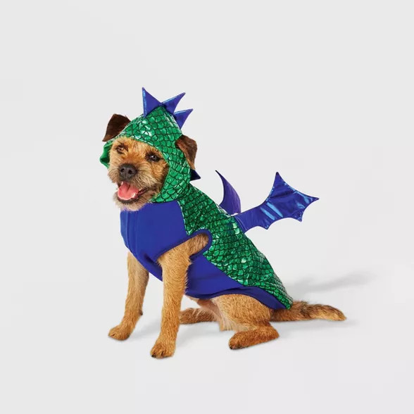 Dinosaur Dragon Dog Hoodie - Hyde & EEK! Boutique™ | Target