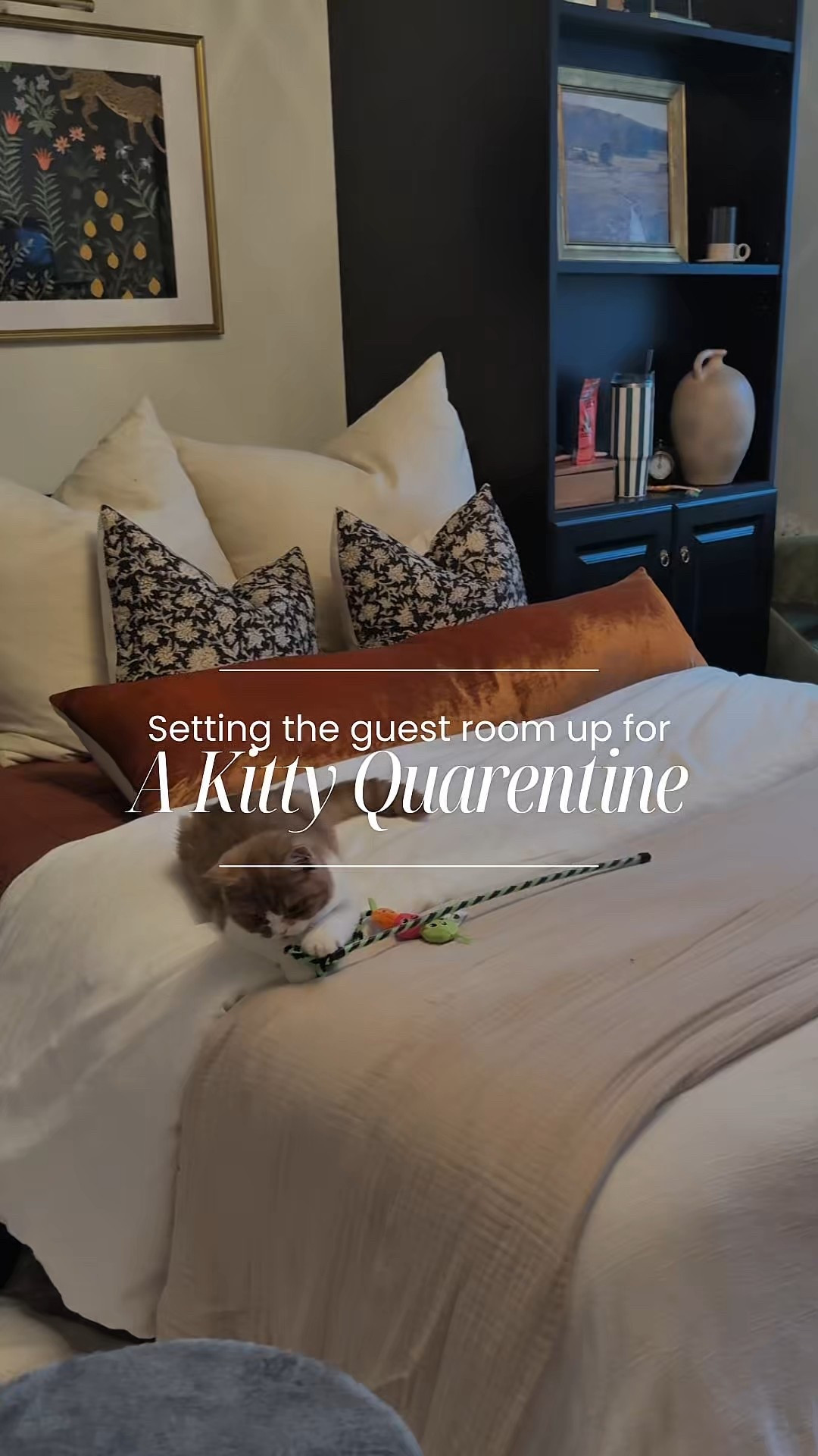 Taking my home office to guest room to prep for the arrival of our kitten!

#LTKHome #LTKFamily