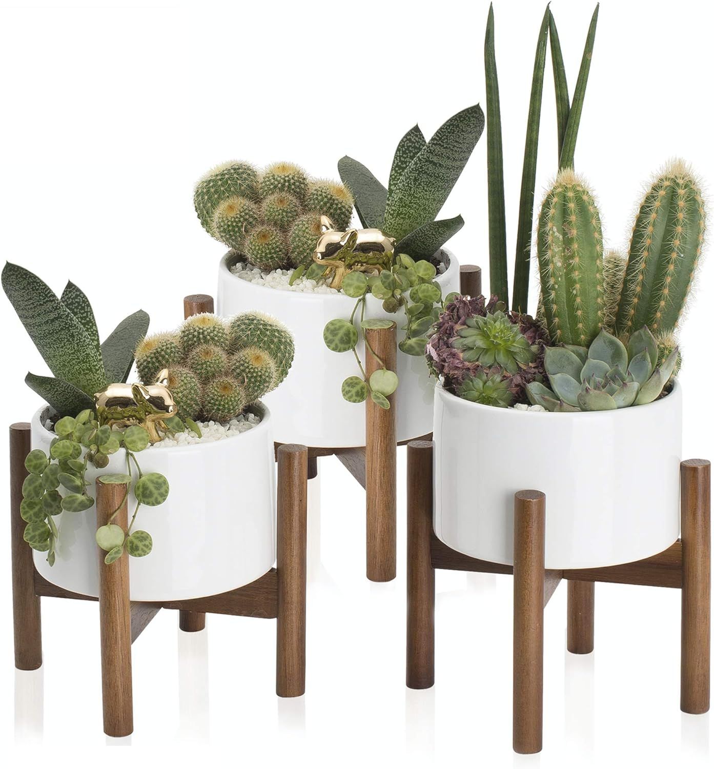 3 Pack Ceramic Succulent Planter, 5 Inch Pot with Wood Stand and Hidden Saucer, Round White Ceram... | Amazon (US)