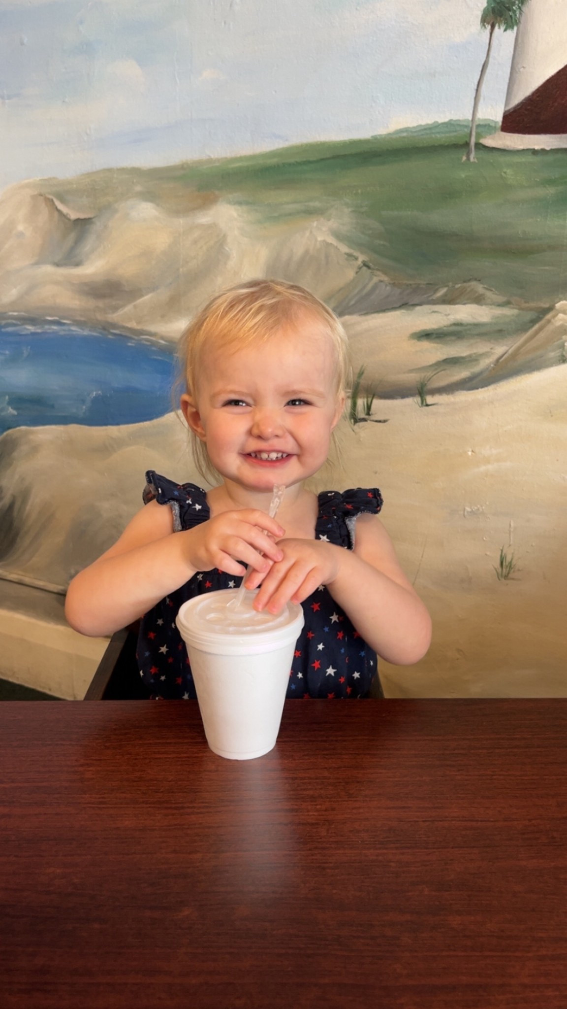 Toddler Fourth of July 🇺🇸 

#LTKFindsUnder50 #LTKSeasonal #LTKBaby