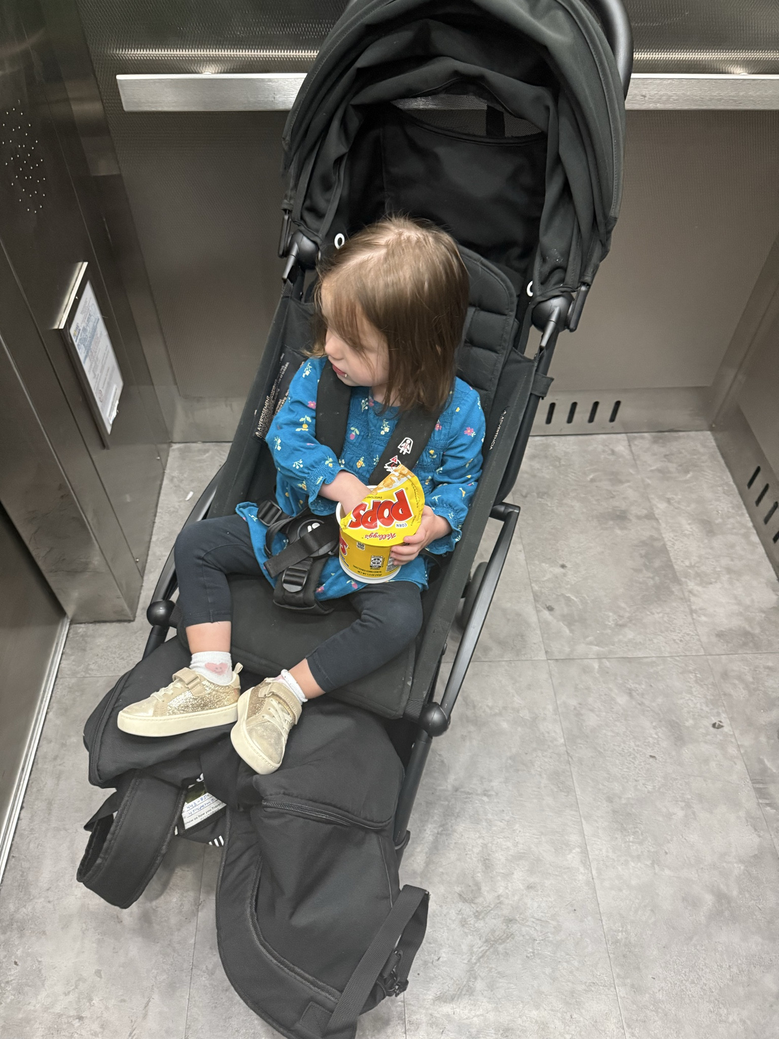 We love this stroller. So compact but has storage and a sun roof. We take it everywhere. Almost want to invest in a 2nd. #stroller #greatstroller 

#LTKmomlife #LTKBaby #LTKKids