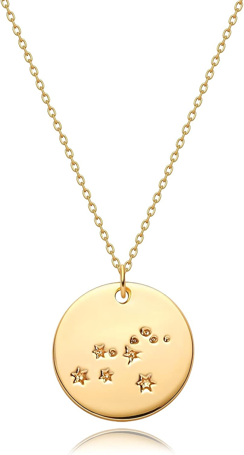 Mevecco Gold Necklace Coin Disc Zodiac 12 Constellation Star Connected Engraved Horoscope Sign As... | Amazon (US)