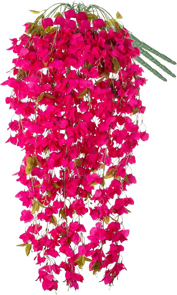 Visit the Ammyoo Store | Amazon (US)