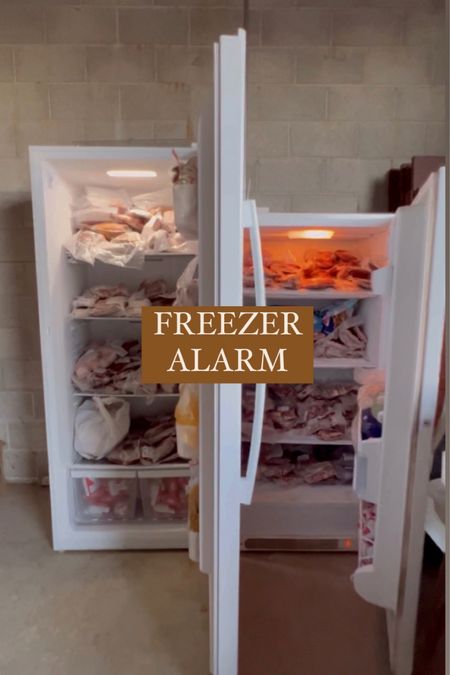 This freezer alarm helps so much 