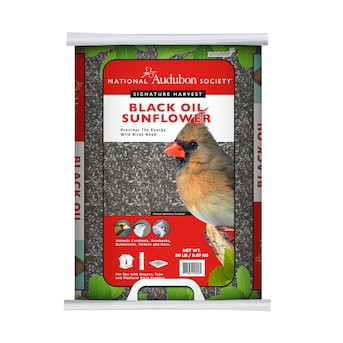 National Audubon Society Black Oil Sunflower Bird Seed 20-lb | Lowe's