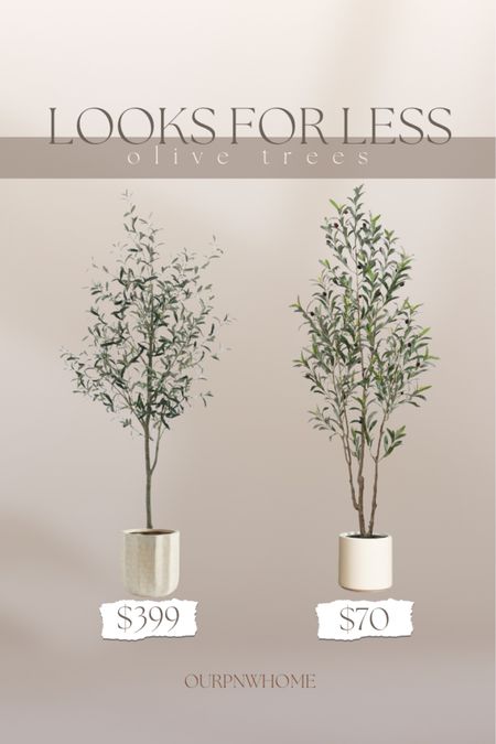 Looks for Less! Grab this faux olive tree on sale and at a fraction of the price!

Faux greenery, faux plants, faux tree, neutral planter pot, home accents, Walmart home, Pottery Barn home, spring home, home decor, save vs splurge, budget finds

#LTKfindsunder100 #LTKsalealert #LTKhome