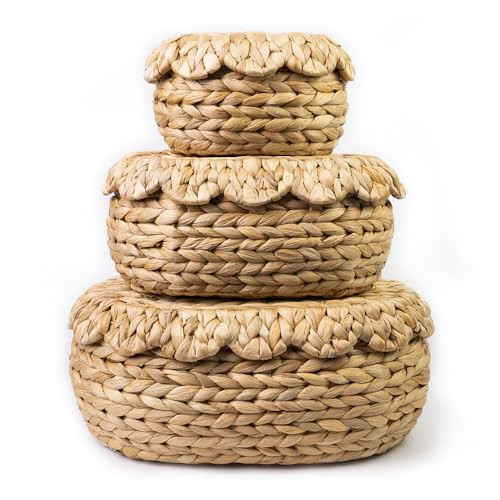 Set of 3 Wicker Storage Baskets with Lid - Decorative Handwoven Rattan Baskets for Organizing, Small Hyacinth Storage Boxes with Scalloped Edges, Natural Woven Storage Bins with Lids (Water Hyacinth) | Amazon (US)