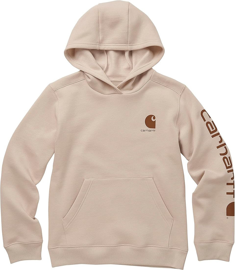 Carhartt Boys' Little Hoodie Fleece Pullover Sweatshirt | Amazon (US)